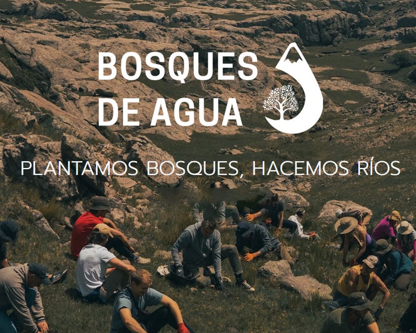 Bosques de Agua