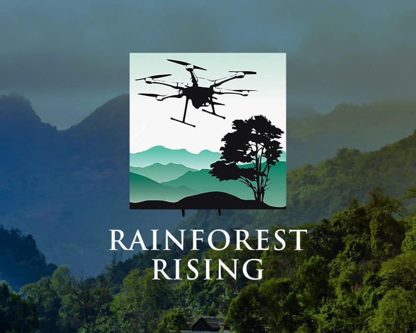 rainforest rising
