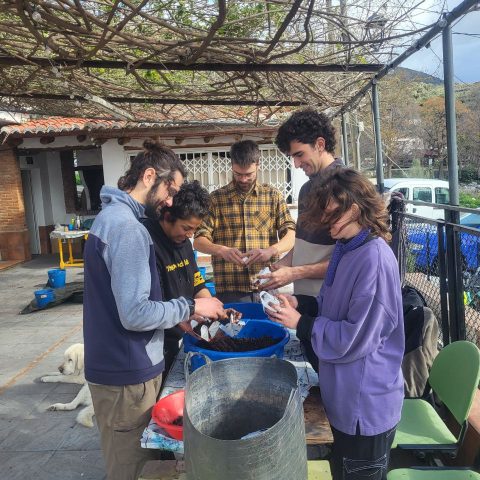 20260210_Bayacas_montaje_CES (1)