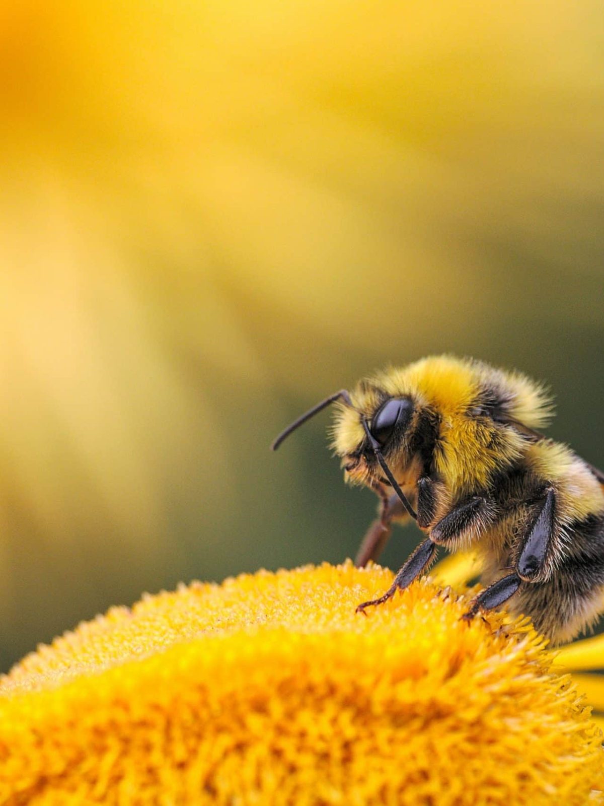 dmitry-grigoriev-yxXpjF-RrnA-unsplash-scaled